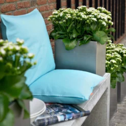 Kalanchoe 'Calandiva'®, Weiß, Topf-Ø 12 Cm, Höhe Ca. 27,5 Cm, 6er-Set 11 Kalanchoe 'Calandiva'®, Weiß, Topf-Ø 12 Cm, Höhe Ca. 27,5 Cm, 6er-Set -Elho || LECHUZA Verkäufe 0210350168 Kalanchoe Cal weiss2