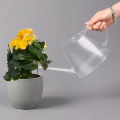 Elatior-Begonie, Topf-Ø 14 Cm, Gelb, Höhe Ca. 20-27 Cm, 4er-Set -Elho || LECHUZA Verkäufe 0210900294 Begonia Elatior gelb 42