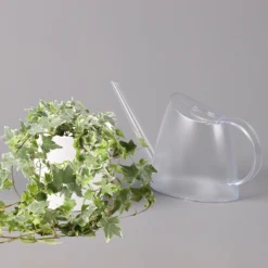 Hedera Helix 'Variegata' In Keramiktopf Dallas Weiß, Topf-Ø 12/13 Cm, 3er-Set -Elho || LECHUZA Verkäufe 0220650237 Hedera weissbunt in Topf Dallas weiss 3