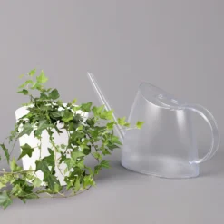 Hedera Helix In Keramiktopf Dallas Weiß, Topf-Ø 12/13 Cm -Elho || LECHUZA Verkäufe 0220650241 Hedera gruen in Topf Dallas weiss 3