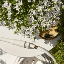 Polsterglockenblume 'Ambella® White' Weiß, Topf-Ø 15 Cm, 3er-Set -Elho || LECHUZA Verkäufe 0319200205 Campanula portenschl Ambella White weiss T15 3er Set 1 126558