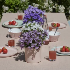 Glockenblume 'Ambella® Lavender' Hellviolett, Topf-Ø 15 Cm, 3er-Set -Elho || LECHUZA Verkäufe 0319200206 Campanula portenschl Ambella Lavender hellviolett T15 3er Set 16 126555