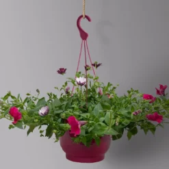 Gemischte Sommerblumen-Ampel, Farbe/n Nach Verfügbarkeit, Ampeltopf-Ø 25/27 Cm -Elho || LECHUZA Verkäufe 0619140037 BB Mix Ampel T27 pink lila 2 126075