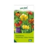 Kaiserkrone (Fritillaria) 3-Farben Mischung, 5 Blumenzwiebeln
