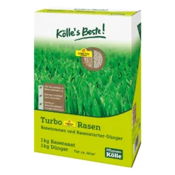 Kölle's Beste Turbo Loretta-Rasen 2 Kg