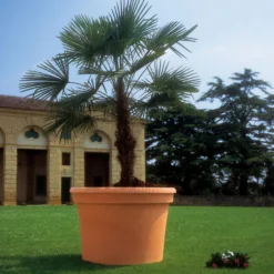 Euro 3 Plast Pflanzkübel "Cilindro" Terra, Ø Ca. 50 Cm, Erdvol. 50 L