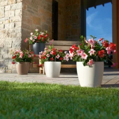 LECHUZA Pflanztopf 'Classico Color 60', Weiß, Ø 60 X H 55,5 Cm -Elho || LECHUZA Verkäufe 3210103918 Pflanzgefaess Classico Color 60 All in 1 weiss 3 109195