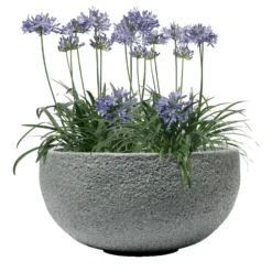 Pflanzschale Rock Line Banham, Granitgrau, Glasfaserverstärkter Kunststoff