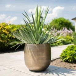 Pflanzgefäß 'Rowen', Gold, Ø 42 X H 41 Cm 11 Pflanzgefäß 'Rowen', Gold, Ø 42 X H 41 Cm -Elho || LECHUZA Verkäufe 3210801622 Pflanzgefaess Rowen gold D 42 x H 41 cm 1 114988