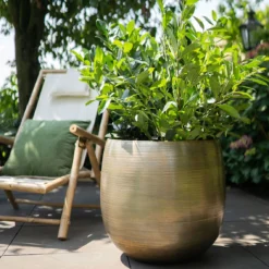 Pflanzgefäß 'Rowen', Gold, Ø 50 X H 47 Cm -Elho || LECHUZA Verkäufe 3210801623 Pflanzgefaess Rowen gold D 50 x H 47 cm 4 114996