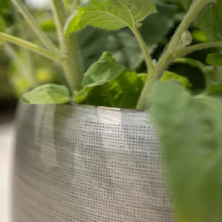 Pflanzgefäß 'Rowen', Silber, Ø 31 X H 28 Cm -Elho || LECHUZA Verkäufe 3210801625 3210801626 3210801627 3210801628 Pflanzgefaess Rowen silber 9 115005