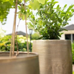 Pflanzgefäß 'Rowen', Gold, Ø 41 X H 72 Cm -Elho || LECHUZA Verkäufe 3210801630 3210801631 3210801632 3210801633 Pflanzgefaess Rowen gold 2 115015