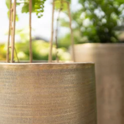 Pflanzgefäß 'Rowen', Gold, Ø 41 X H 72 Cm -Elho || LECHUZA Verkäufe 3210801630 3210801631 3210801632 3210801633 Pflanzgefaess Rowen gold 3 115016