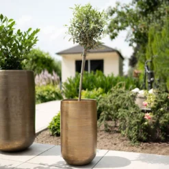 Pflanzgefäß 'Rowen', Gold, Ø 41 X H 72 Cm -Elho || LECHUZA Verkäufe 3210801630 3210801631 3210801632 3210801633 Pflanzgefaess Rowen gold 4 115017