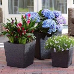 Pflanztrog IQ Dutch Aria, Schwarz, L 25 X B 25 X H 25 Cm