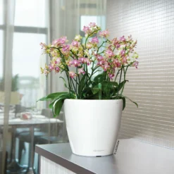 Lechuza Classico Premium 50 LS, Weiß Hochglanz, All-in-One-Set -Elho || LECHUZA Verkäufe 3325100222 Classico Premium 28LS wei All in One Set D28xH26cm RGB 7759