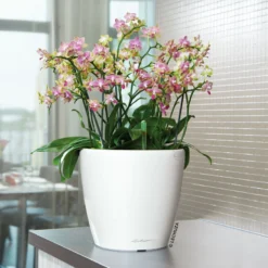 LECHUZA Classico Premium 35 LS, Weiß Hochglanz, All-in-One-Set, Ø 35 Cm, H:33 Cm