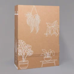 Aglaonema 'Stripes', Topf-Ø 12 Cm Mit Übertopf Dallas Weiß -Elho || LECHUZA Verkäufe B2 02 Karton Sets mit Keramik 1 126161 1